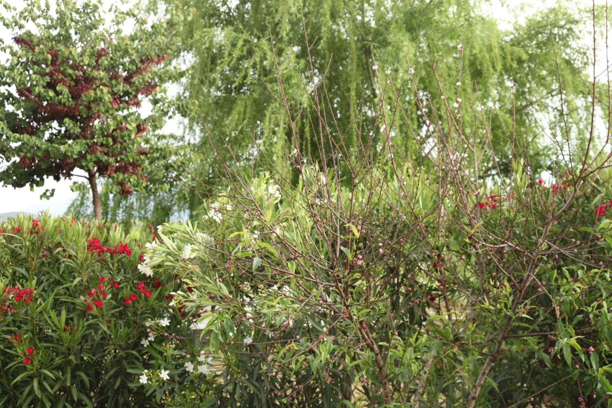 The Dragonfly Retreat Apartment Malaga Bagian luar foto