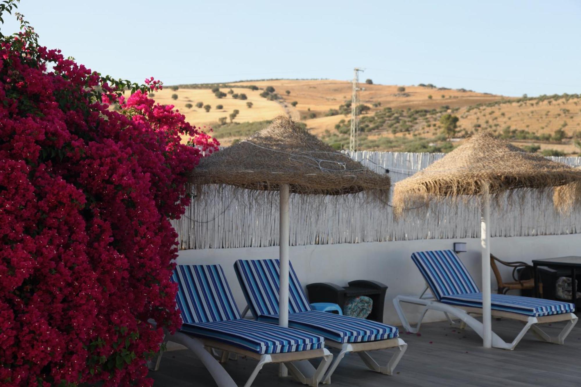 The Dragonfly Retreat Apartment Malaga Bagian luar foto